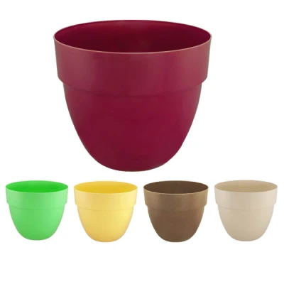 DONICZKA *ORCHIDEA NOWA* 3  30CM