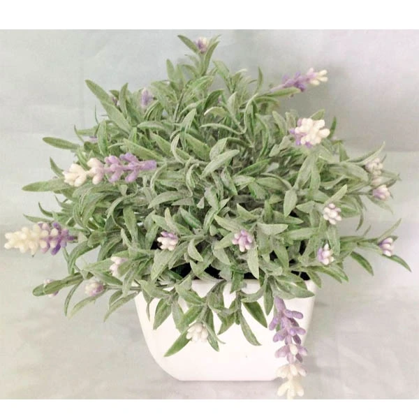 TOM-ROŚLINA W DONICZCE 20CM RD12