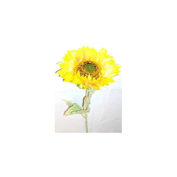 AD-SŁONECZNIK HT01FST