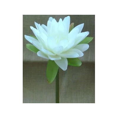 EUR-KWIAT NEUFAR/BIAŁY