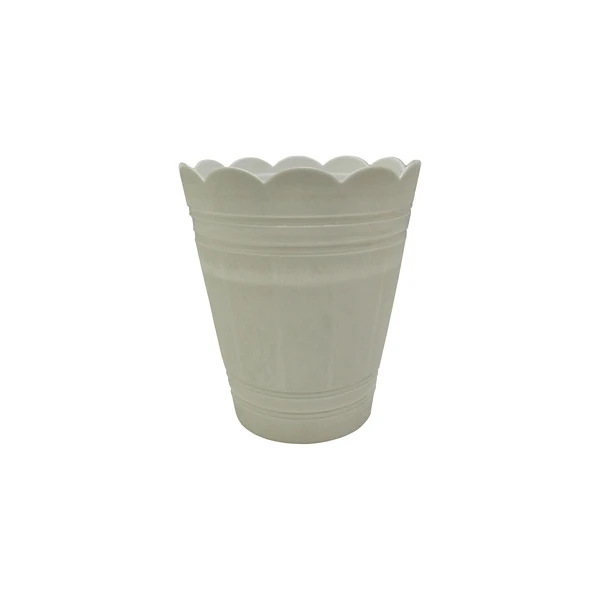 PALMÓWKA BIAŁA *3*        26CM