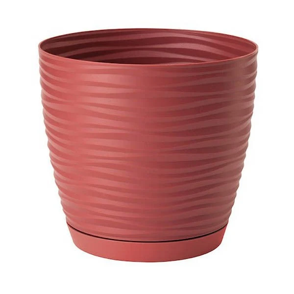 DONICZKA SAHARA PETIT Z/P *23* MARSALA