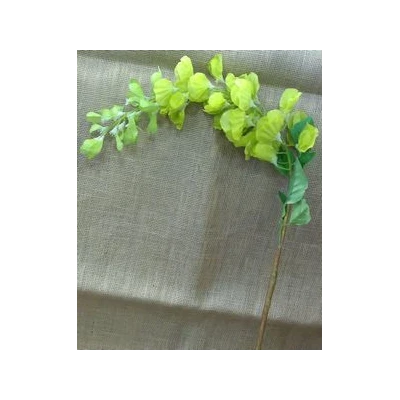 EUR-KWIAT GLICYNIA/2/ŻÓŁTA