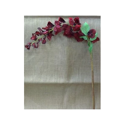 EUR-KWIAT GLICYNIA/BORDO