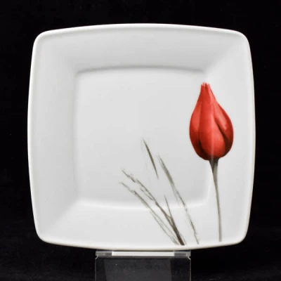 LUB-TALERZ PŁYTKI 190/245 VICTORIA 3830