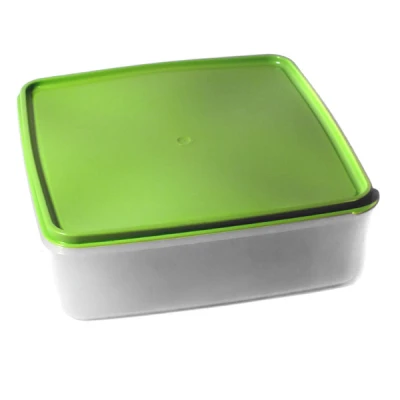 SK-POJEMNIK KWADRAT MAXI 25*25*8 5L