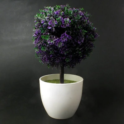 SZ-ROŚLINA W DONICZCE  S160716