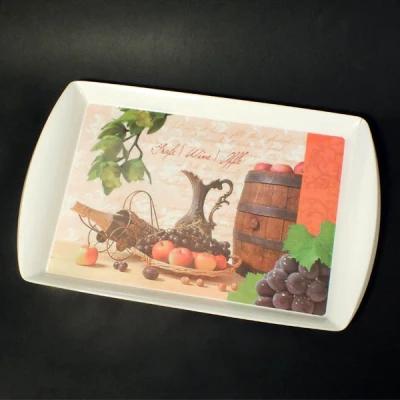 TG-TACA PLASTIK 43*27 YL16417