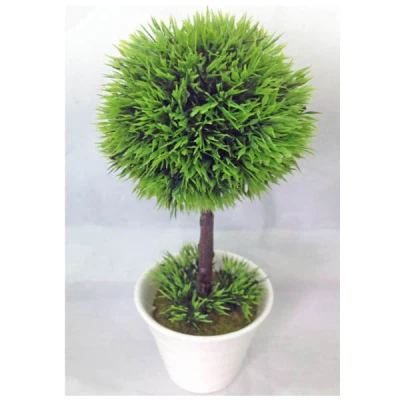 TOM-ROŚLINA W DONICZCE 24CM RD13