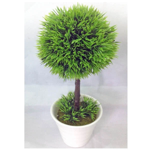 TOM-ROŚLINA W DONICZCE 24CM RD13