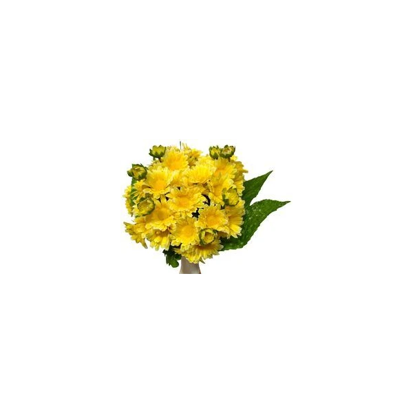 AD-BUKIET MARGARETEK FM09471R