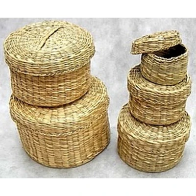 DAN-KPL.3 PUDEŁ.Z TRAWY SE1414