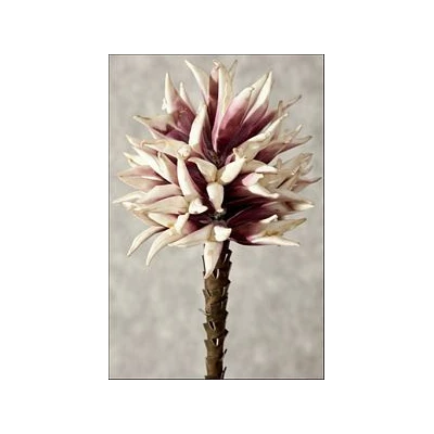 EUR-KWIAT FLORE/17/FIOLET