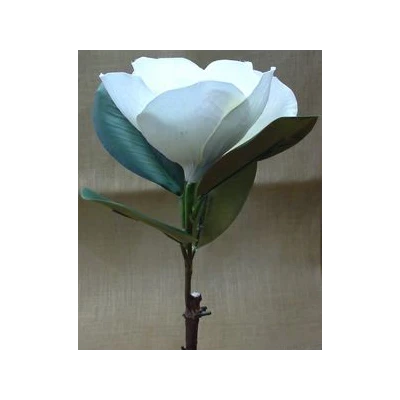 EUR-KWIAT MAGNOLIA/BIAŁY