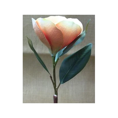 EUR-KWIAT MAGNOLIA/POMARAŃCZ