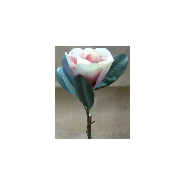 EUR-KWIAT MAGNOLIA/RÓŻ