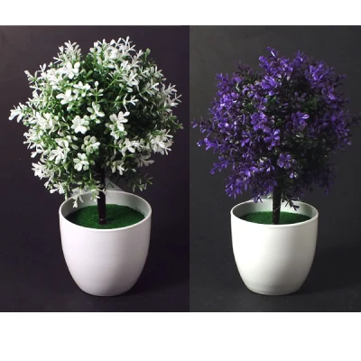 SZ-KWIAT W DONICZCE S144184