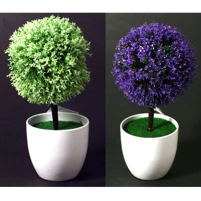 SZ-KWIAT W DONICZCE S144189