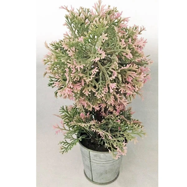 TOM-ROŚLINA W DONICZCE 27CM RD05