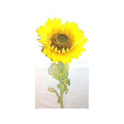 AD-SŁONECZNIK HT01DST