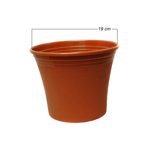 DONICZKA  IRYS  19CM *7*