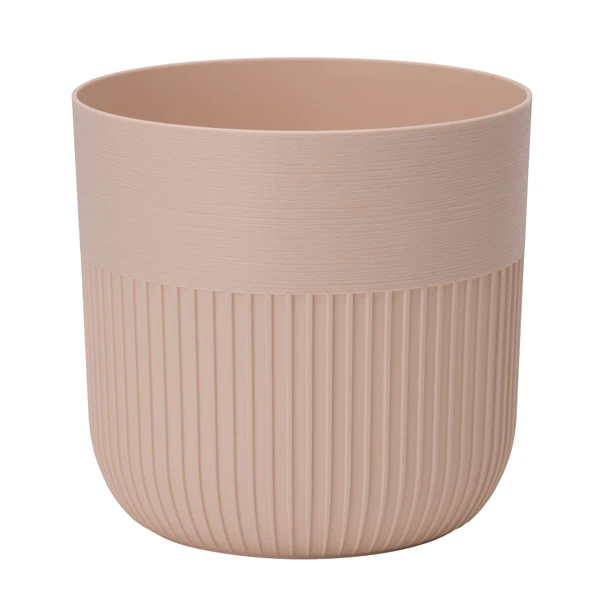 DONICZKA LUCA PETIT 12 WANILIA