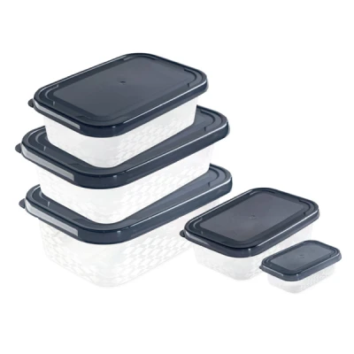 POJEMNIKI NA ŻYWNOŚĆ PLASTIKOWE 5 SZTUK PROSTOKĄTNE Z POKRYWKĄ