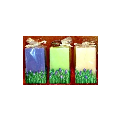 CAND-ŚW.KOST.ŚR.75X75X140 ZD.