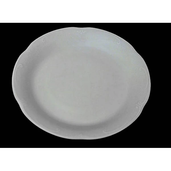 CHODZIEŻ-TALERZ PŁYTKI 24 *KAMELIA GŁADKA*