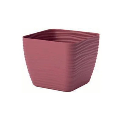 DONICZKA SAHARA KWADRAT PETIT Z/P *13* MARSALA