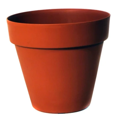 DONICZKA *SEKWOJA*        39CM