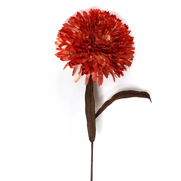 EUR-KW/EKO/02/CZERWONA