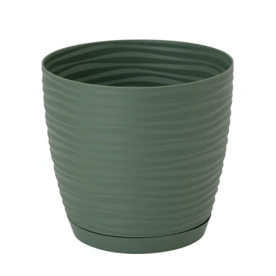 DONICZKA SAHARA PETIT Z/P *15* ZIELONA HERBATA