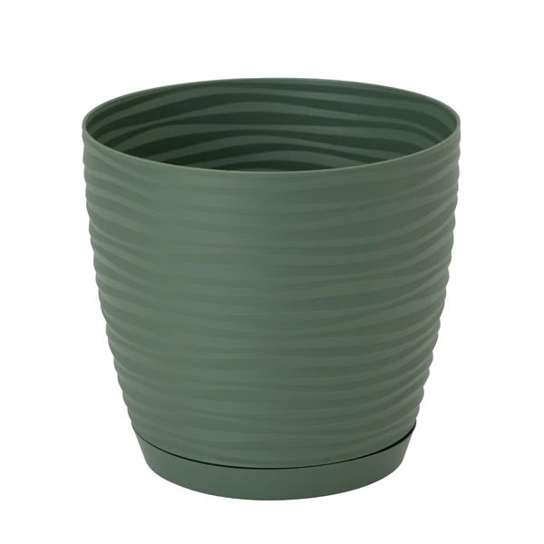 DONICZKA SAHARA PETIT Z/P *15* ZIELONA HERBATA