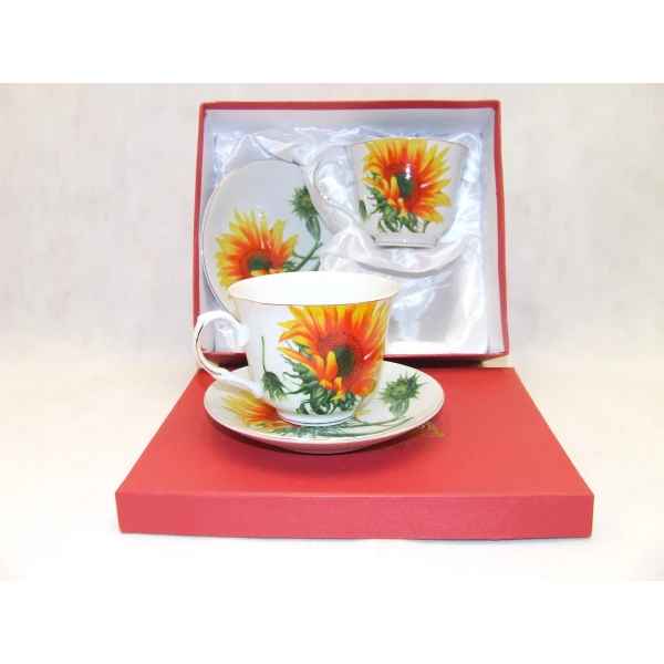 SALIX-KPL. KAWA 2+2 *FRANCESCA* GA008