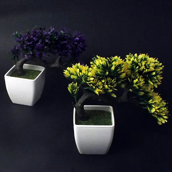 SZ-DRZEWO W DONICZCE *BONZAI* S144963