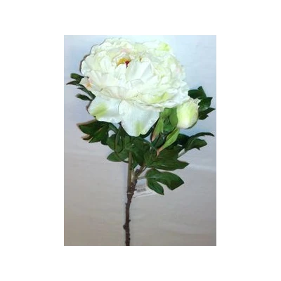 EUR-KW/PIWONIA/A/K WIOSNA