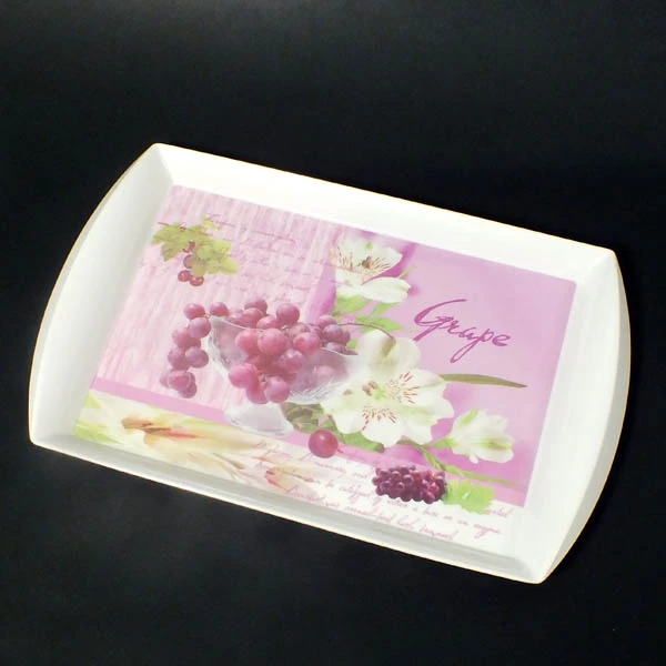 TG-TACA PLASTIK 53*33 YL16421