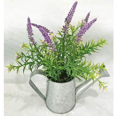 TOM-ROŚLINA W DONICZCE 31CM RD02