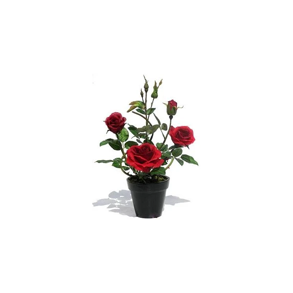 TOM-RÓŻA W DONICZ.30CM XDT1240