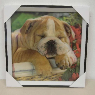 TRU-OBRAZ 3D 30*30  *25-625F*