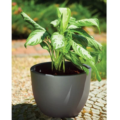 DONICA MUNA 40 OKRĄGŁA ANTRACYT +OBRĘCZ h30 fi40