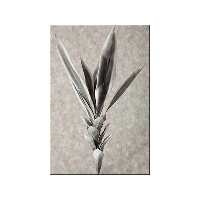 EUR-KWIAT FLORE/05/SZARY