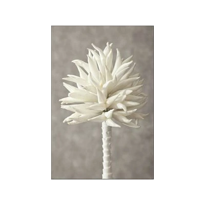 EUR-KWIAT FLORE/17/B