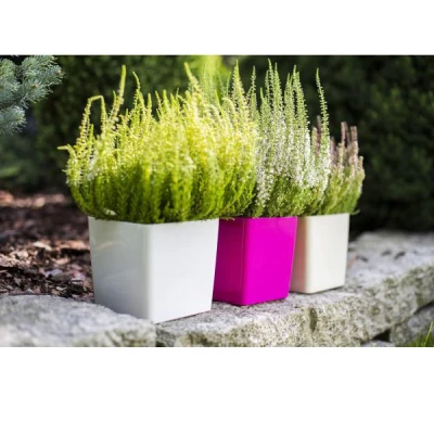 KW-DONICZKA *KWADRAT 13 PP*