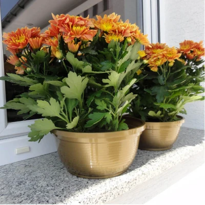 KW-MISKA *ANITA* 20CM