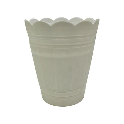 PALMÓWKA BIAŁA *1*        36CM