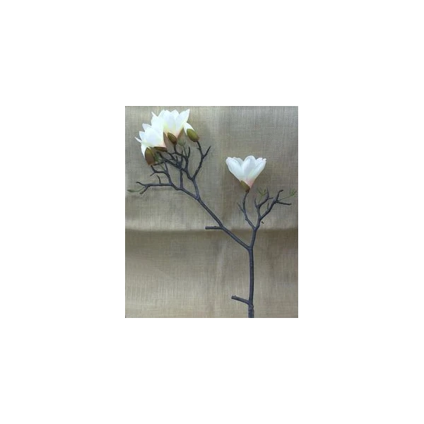 EUR-KWIAT MAGNOLIA/ŻÓŁ GAŁŃZKA