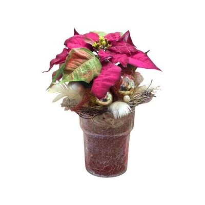 DON.STORCZYKA H-16+OZD.ŚWIĄTECZNE