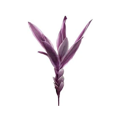 EUR-LIŚCIE FLORE/05/FIOLET